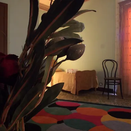 Bed and breakfast Palace